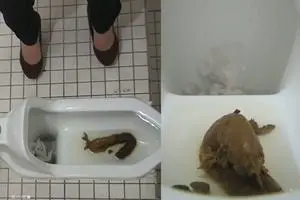 Молодая азиатка поносит в туалете со скрытой камерой